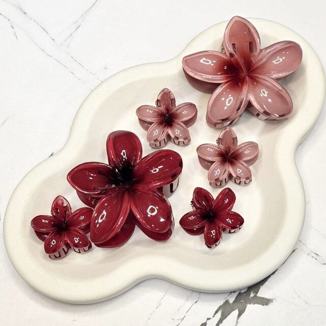 کلیپس پلومریا ست کوچک و بزرگ کد(۲) (۰۳۰۳۰۰۴۰)